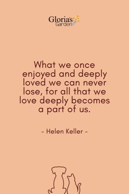 What we once enjoyed and deeply loved we can never lose - Helen Keller Quote