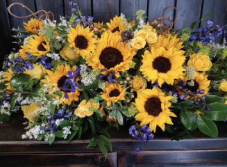Memorial Sunflower Cascade